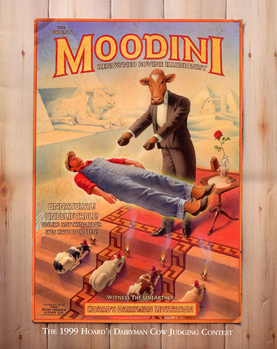 Moodini Advertising Poster Moodini Advertising Poster